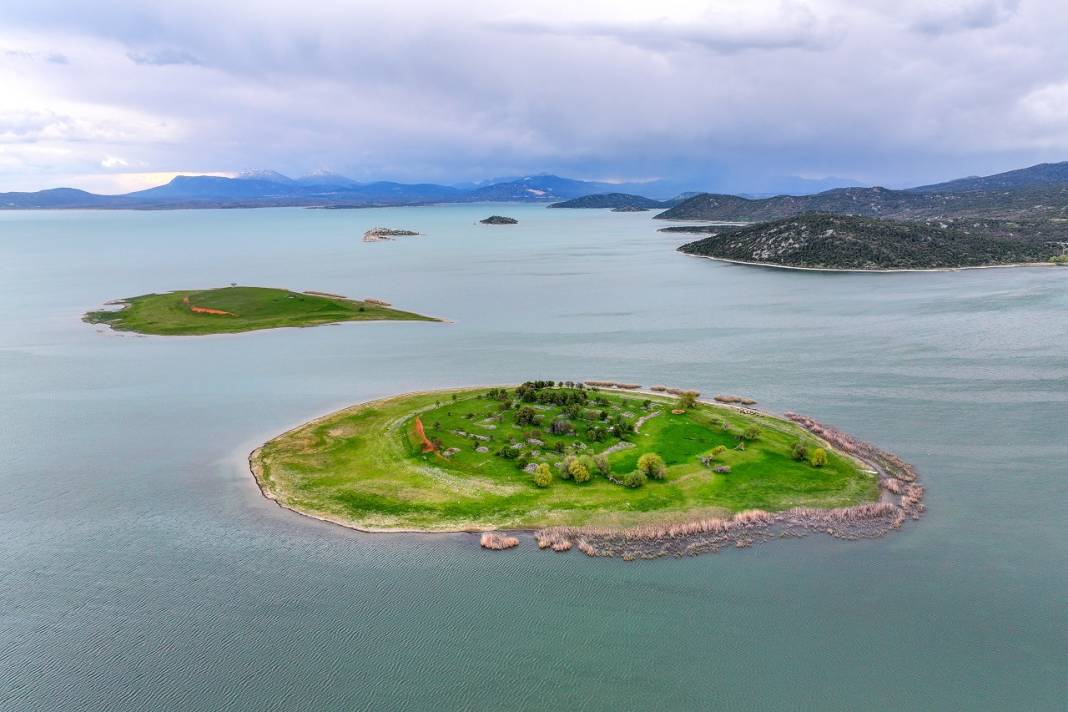 Konya'daki bu adanın sahipleri 50 küçükbaş sürüsü 4